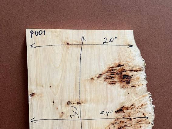Burl poplar P002
