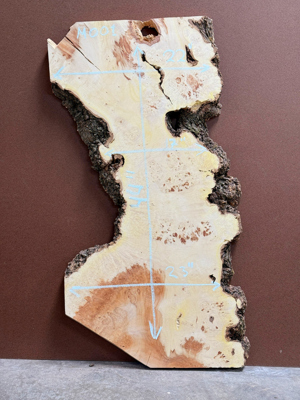 Burl Maple M001 44" x 20"