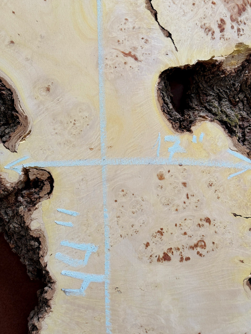 Burl Maple M001 44" x 20"