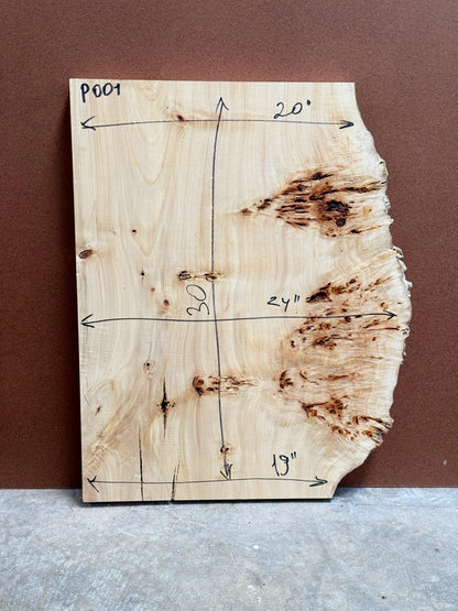 Burl poplar P003