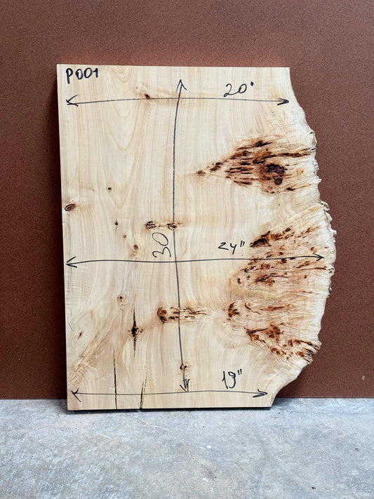 Burl poplar P003