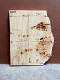 Burl poplar P003