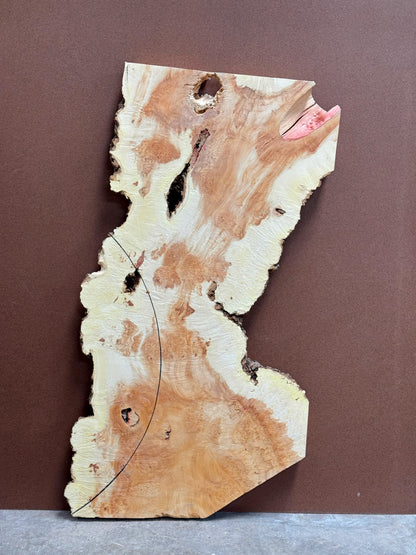 Burl Maple M001 44" x 20"