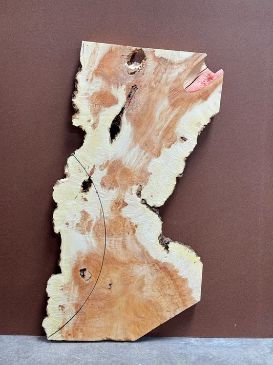 Burl Maple M001 44" x 20"