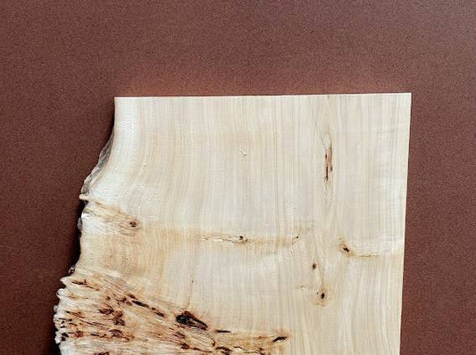 Burl poplar P002