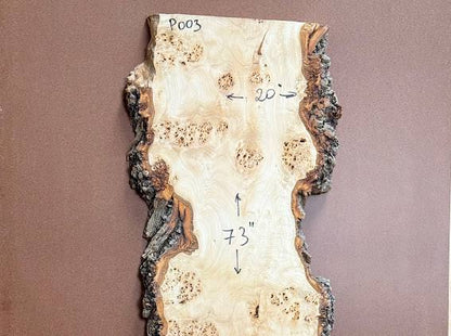 Burl poplar P003