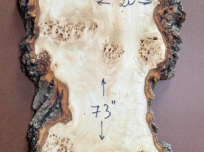 Burl poplar P003