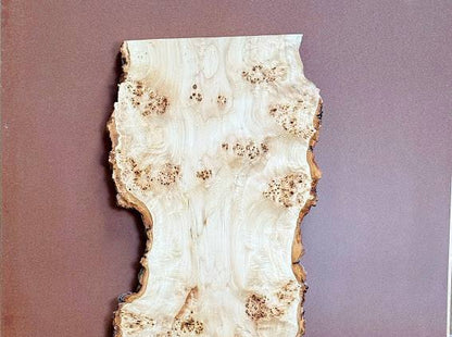 Burl poplar P003