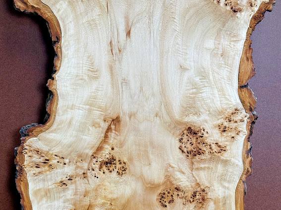 Burl poplar P003
