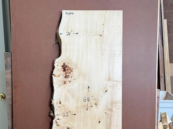 Burl poplar P004