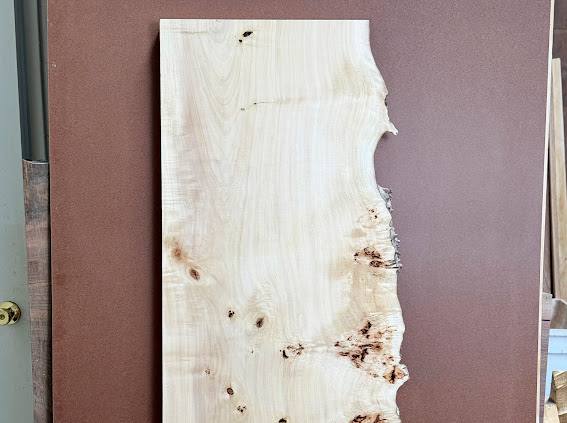 Burl poplar P004