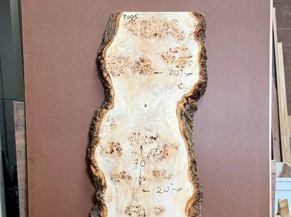 Burl poplar P005