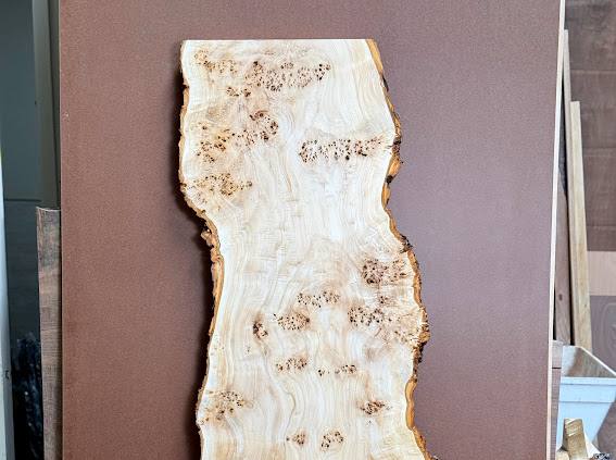 Burl poplar P005