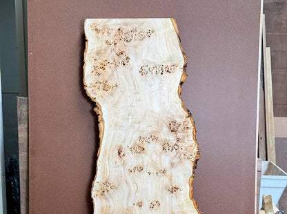 Burl poplar P005