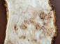 Burl poplar P005