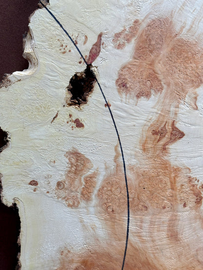 Burl Maple M001 44" x 20"